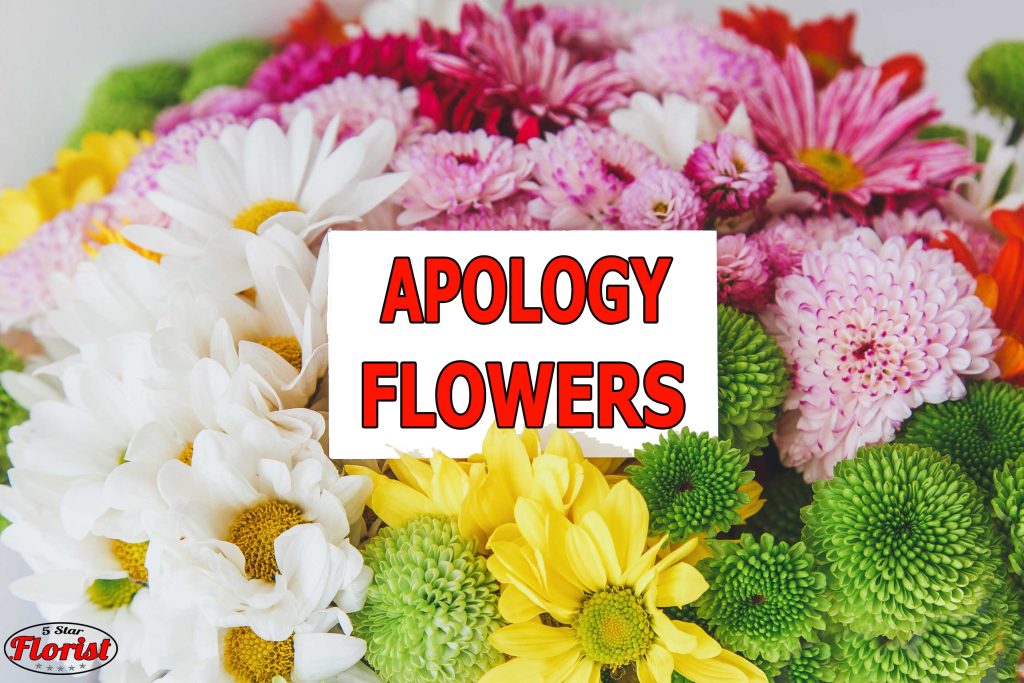 apology flowers Syracuse