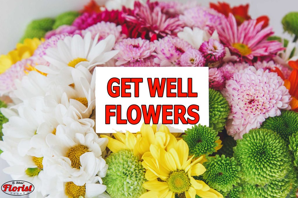 get well flowers Syracuse